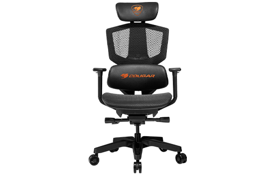 View_-_SFV22H2F__back_logo